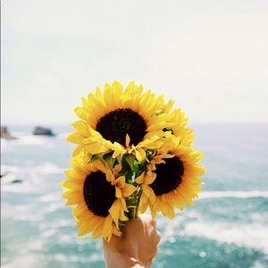 Meet your Posher, Natalka